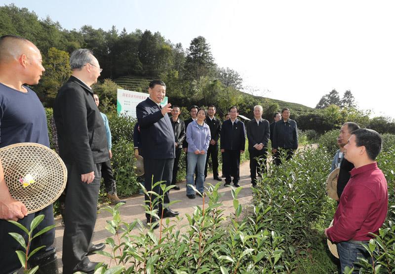 △2021年3月22日，习近平总书记在福建南平武夷山市星村镇燕子窠生态茶园，同科技特派员，茶农亲切交流，了解当地茶产业发展情况。