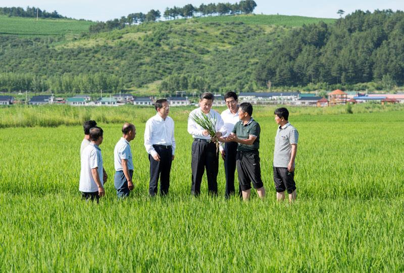 △2015年7月16日，习近平总书记在吉林延边州光东村稻田同村民和农技人员交流。